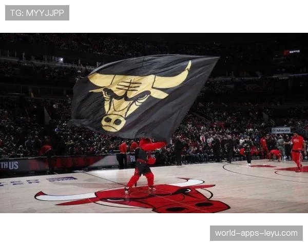 公牛队引援成功，重塑冠军梦想，公牛队官方网站