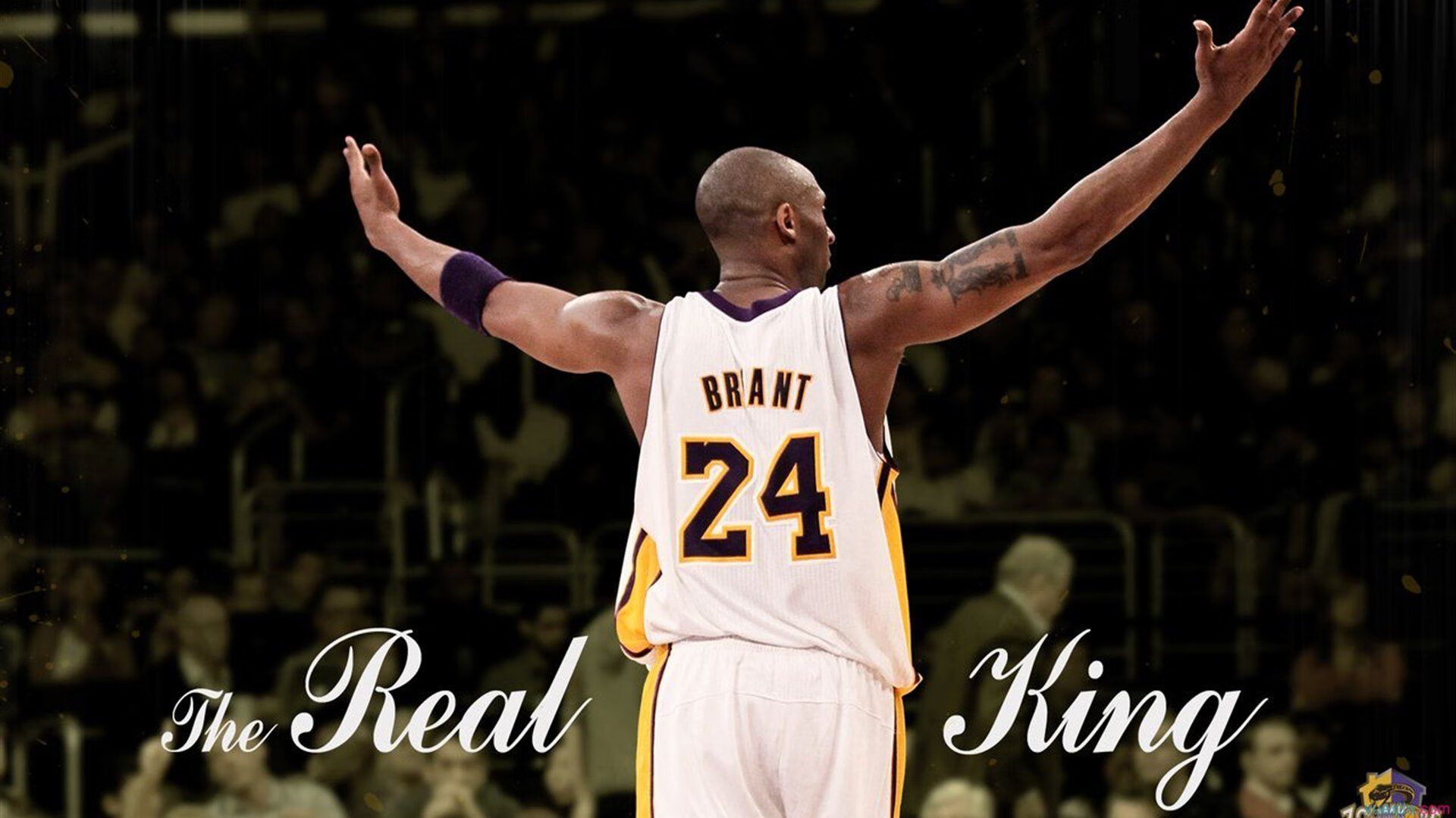 德约再度封王，霸气得不像话，德约出道